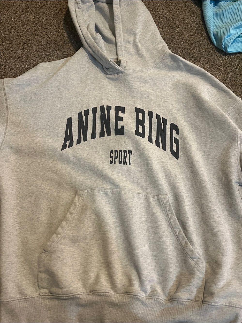Anine Bing hoodie sweatshirt Harvey